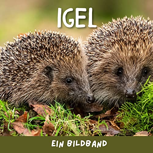 Igel: Ein Bildband von 27 Amigos