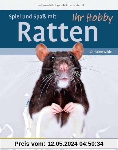 Ihr Hobby Spiel und Spaß mit Ratten