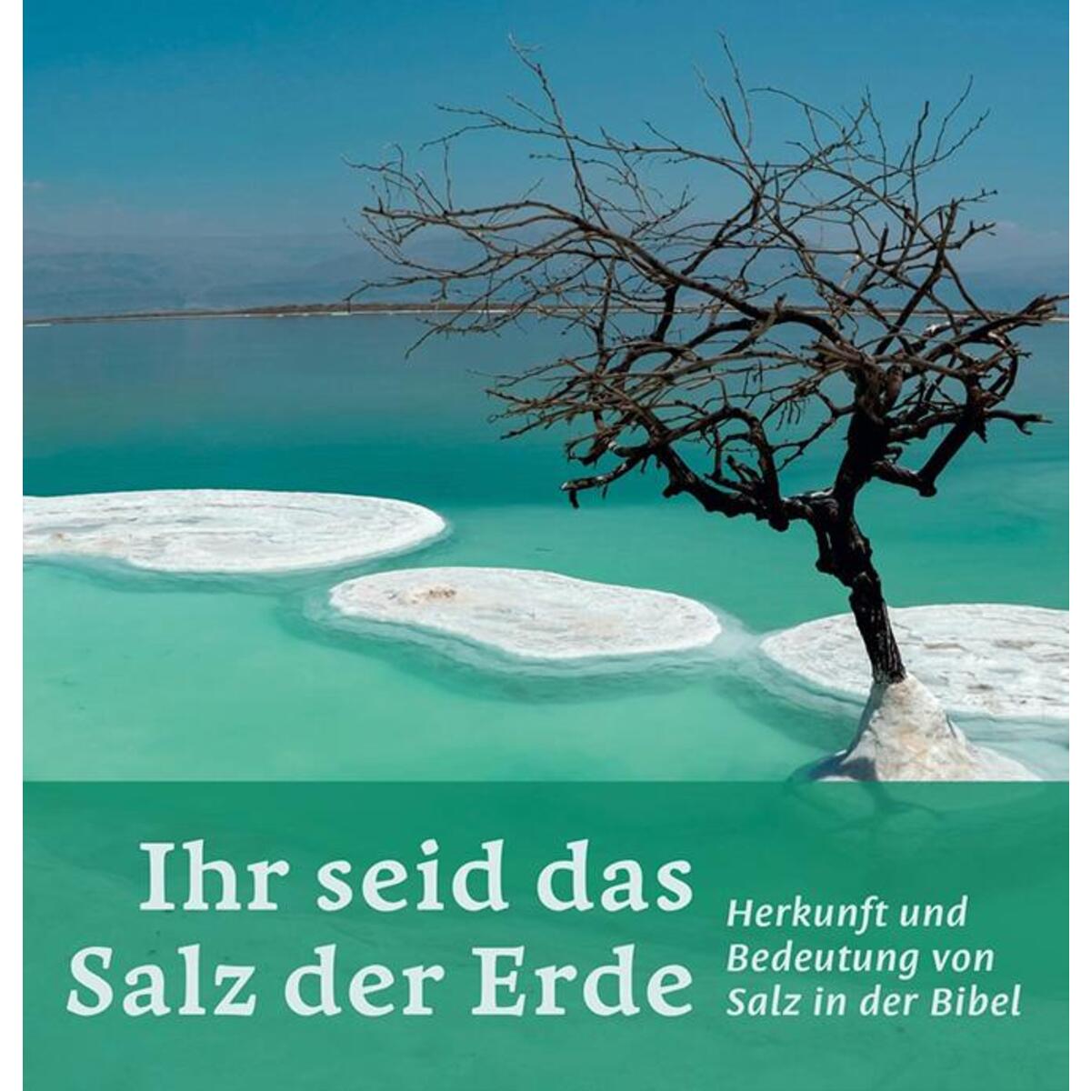 Ihr seid das Salz der Erde von Lutherische Verlagsges.