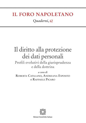 Il diritto alla protezione dei dati personali (Quaderni de «Il Foro napoletano») von Edizioni Scientifiche Italiane