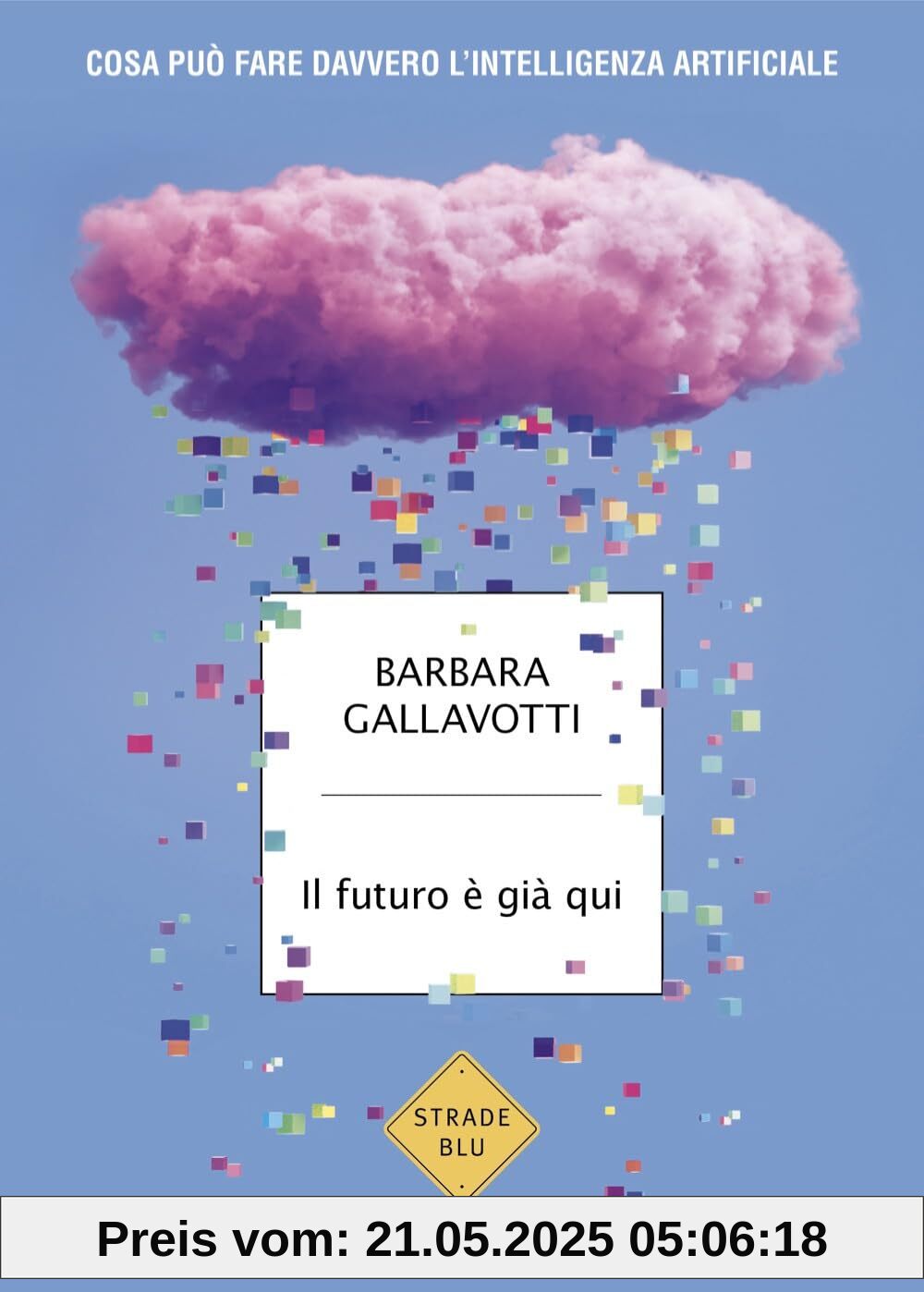 Il futuro è già qui. Cosa può fare davvero l'intelligenza artificiale (Strade blu)