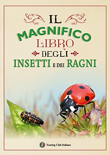 Il magnifico libro degli insetti e dei ragni. Ediz. a colori von Touring