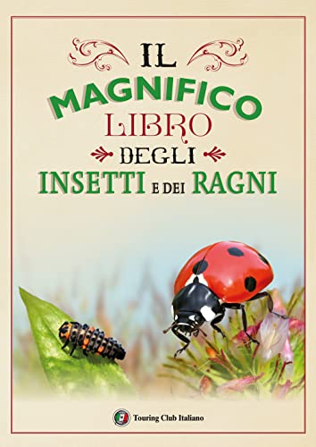 Il magnifico libro degli insetti e dei ragni. Ediz. a colori Il magnifico libro degli insetti e dei ragni. Ediz. a colori von Touring