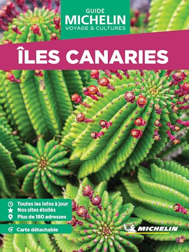 Iles Canaries GVF (Le guide vert voyage & cultures)