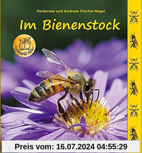 Im Bienenstock (Spannende Natur)