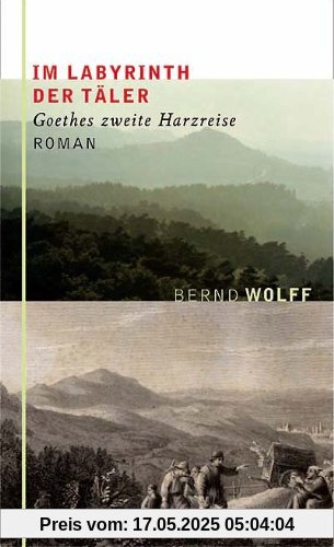 Im Labyrinth der Täler: Goethes zweite Harzreise. Roman