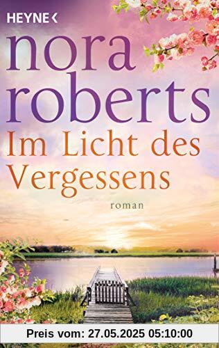 Im Licht des Vergessens: Roman