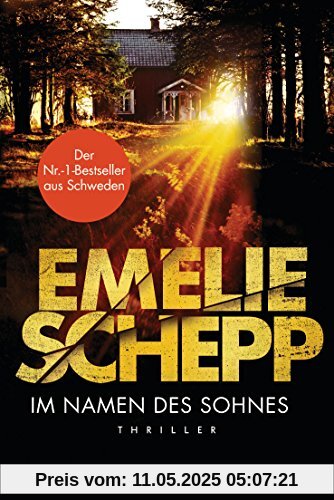 Im Namen des Sohnes: Thriller (Jana Berzelius, Band 4)