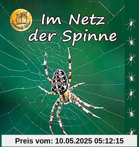 Im Netz der Spinne