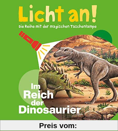 Im Reich der Dinosaurier: Licht an! (Licht an! Die Reihe mit der magischen Taschenlampe)