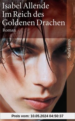 Im Reich des Goldenen Drachen: Roman (suhrkamp taschenbuch)