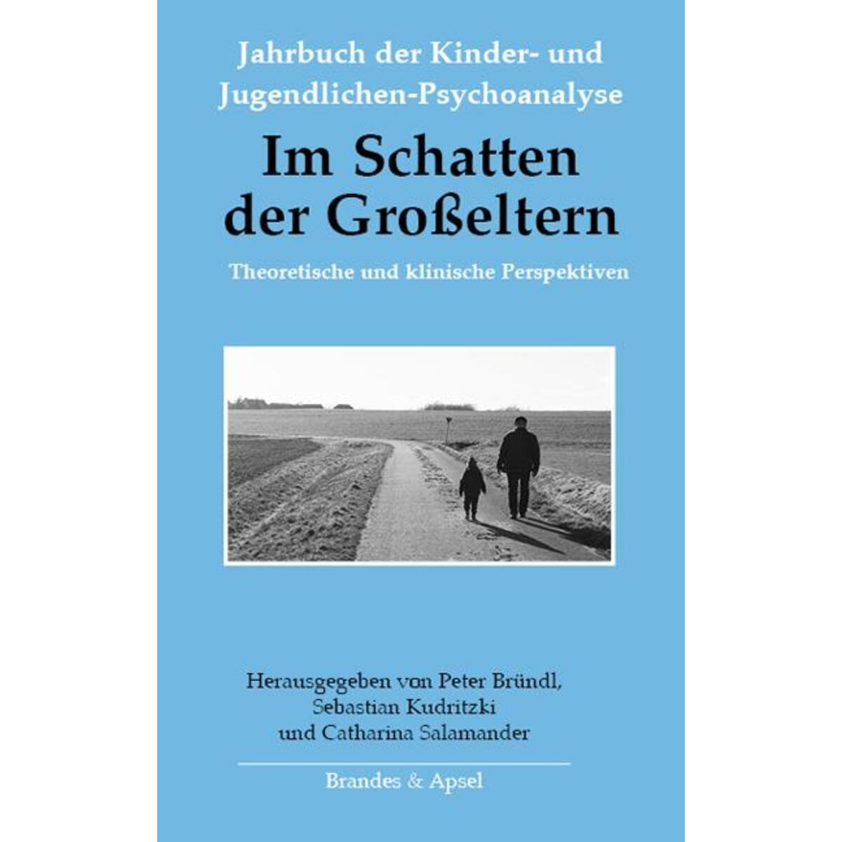 Im Schatten der Großeltern Im Schatten der Großeltern von Brandes + Apsel Verlag Gm