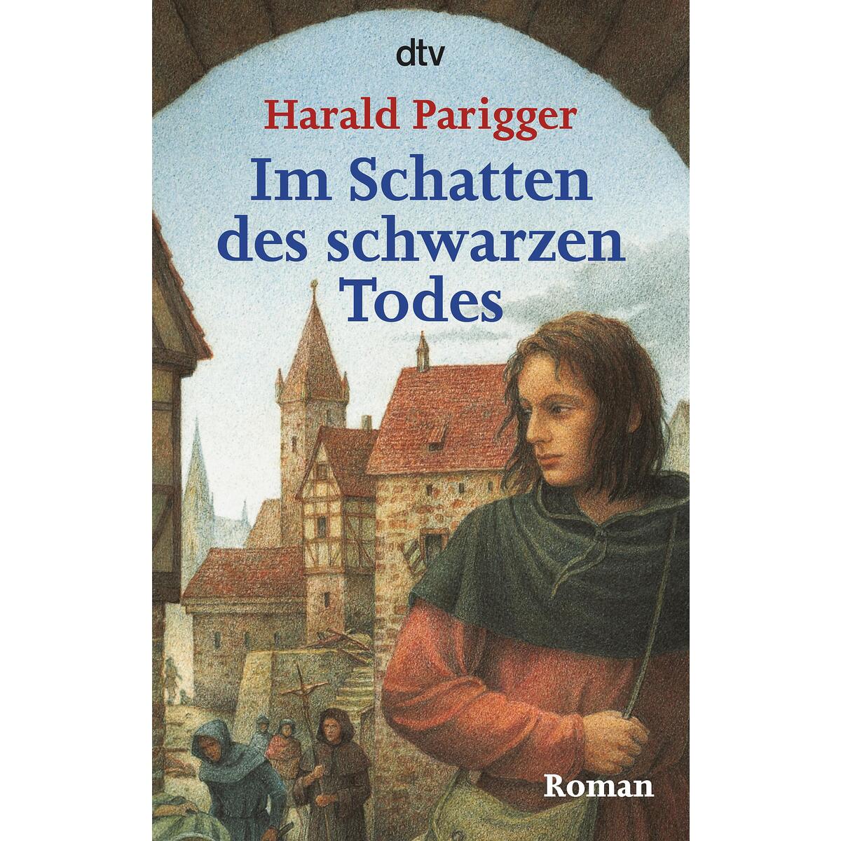 Im Schatten des schwarzen Todes von dtv Verlagsgesellschaft