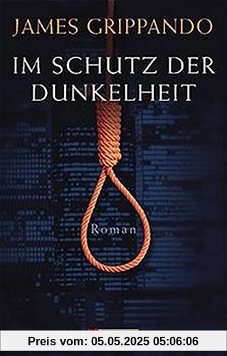 Im Schutz der Dunkelheit: Roman (Ullstein Taschenbuch)