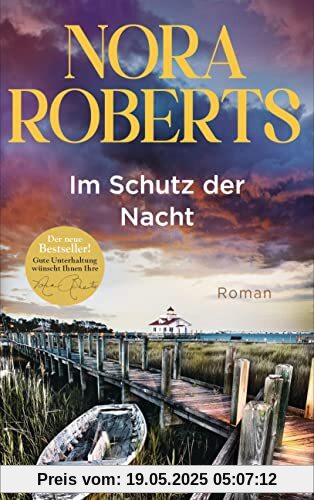 Im Schutz der Nacht: Roman