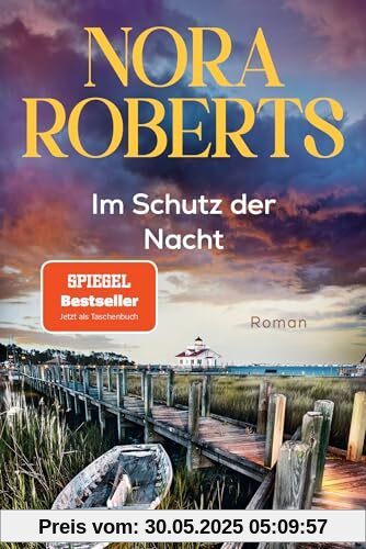 Im Schutz der Nacht: Roman