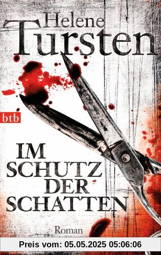 Im Schutz der Schatten: Roman