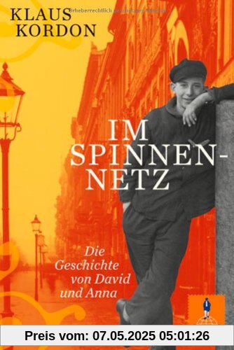 Im Spinnennetz: Die Geschichte von David und Anna. Roman (Gulliver)