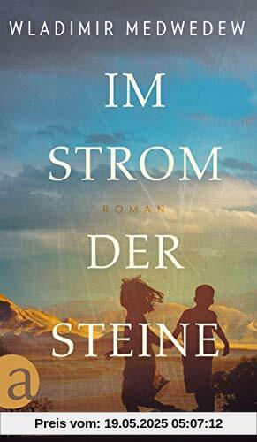 Im Strom der Steine: Roman