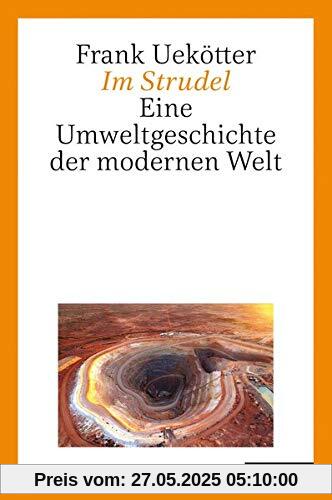 Im Strudel: Eine Umweltgeschichte der modernen Welt Im Strudel: Eine Umweltgeschichte der modernen Welt