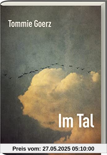 Im Tal: Roman