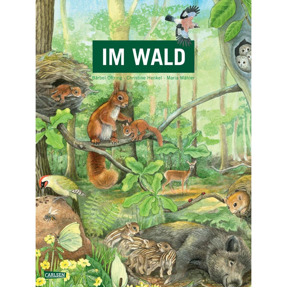 Im Wald Im Wald von Carlsen Verlag GmbH