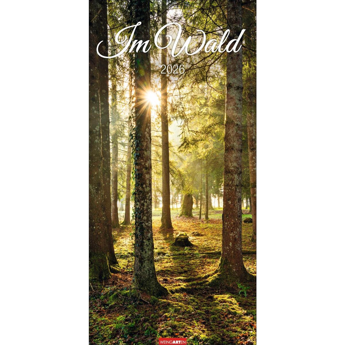 Im Wald Kalender 2026 Im Wald Kalender 2026 von Weingarten