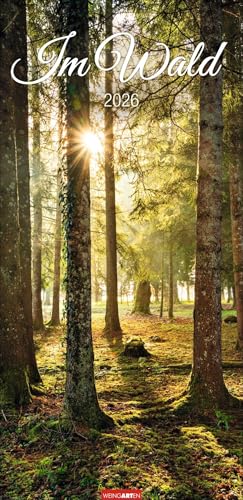 Im Wald Kalender 2026: Die heimischen Wälder in faszinierenden Fotos dargestellt in einem XL Kalender. Bäume und Co. in einem länglichen Kalender. 33 x 68 cm Hochformat von Weingarten