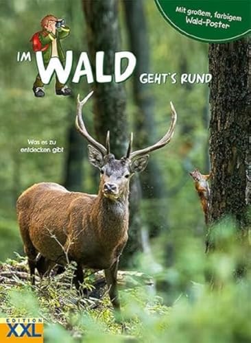 Im Wald geht's rund - mit großem, farbigem Poster: Was es zu entdecken gibt von Edition XXL