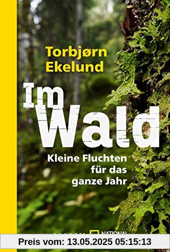 Im Wald: Kleine Fluchten für das ganze Jahr