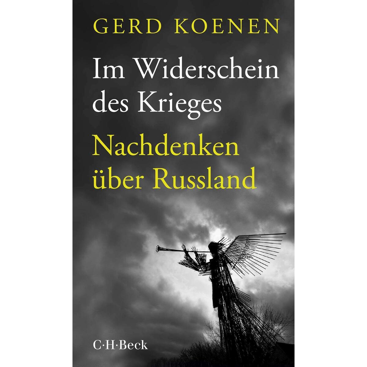 Im Widerschein des Krieges von C.H. Beck