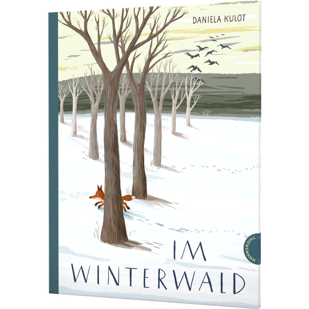 Im Winterwald von Thienemann