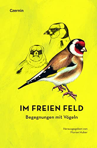 Im freien Feld: Begegnungen mit Vögeln