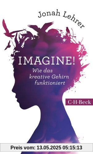 Imagine!: Wie das kreative Gehirn funktioniert