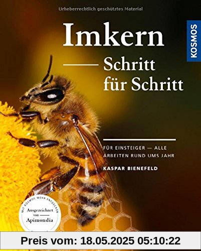 Imkern Schritt für Schritt: Für Einsteiger - alle Arbeiten rund ums Jahr