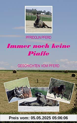 Immer noch keine Piaffe: Geschichten vom Pferd
