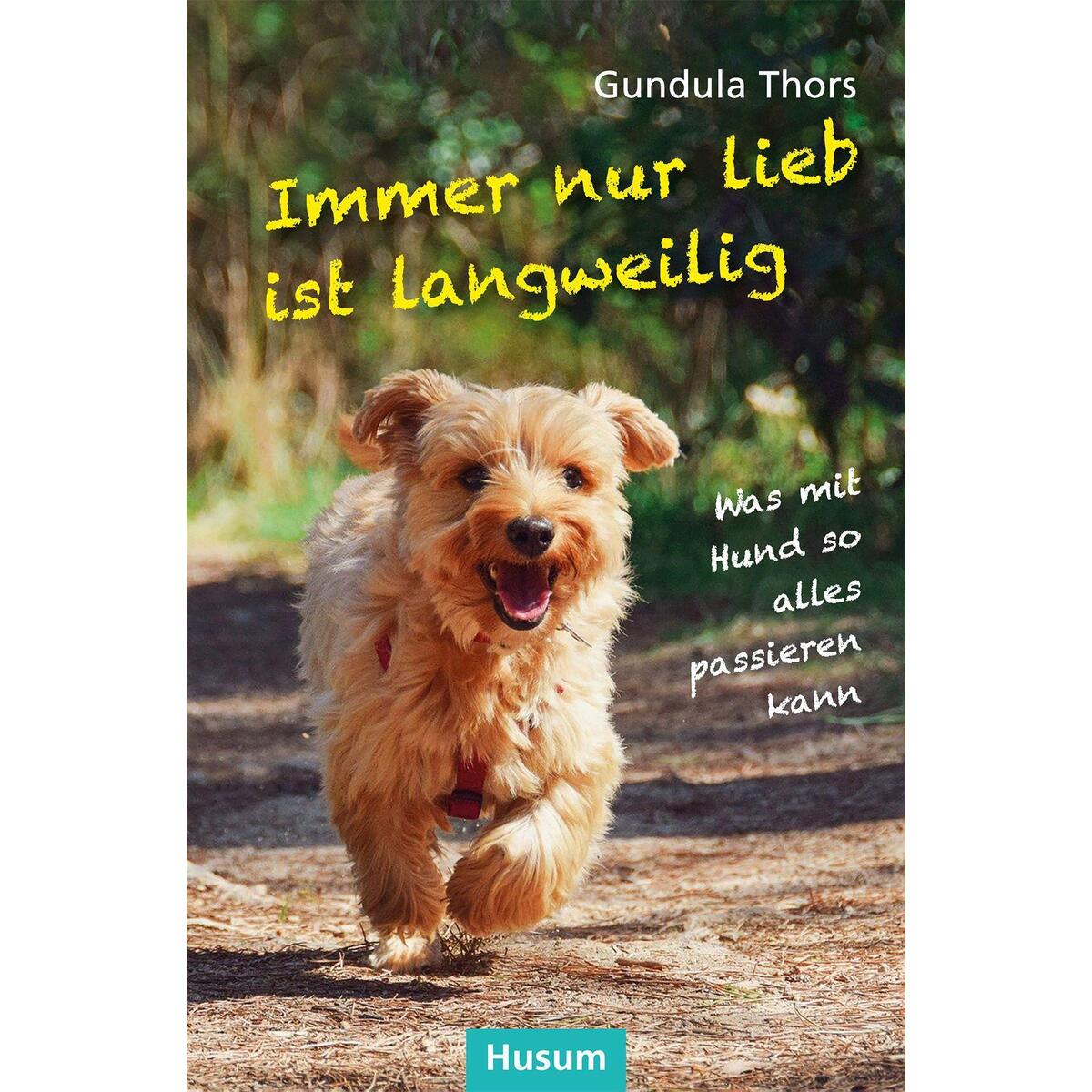 Immer nur lieb ist langweilig von Husum Druck
