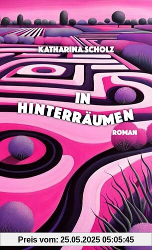 In Hinterräumen: Roman