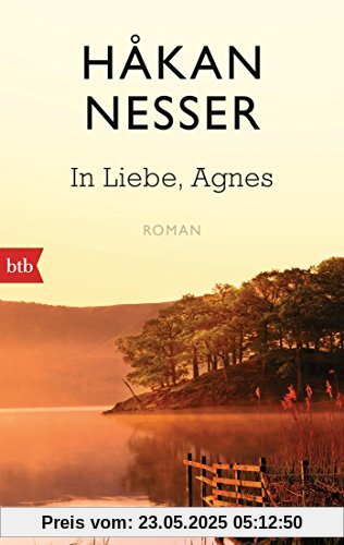 In Liebe, Agnes: Roman