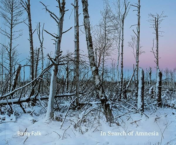 In Search of Amnesia: Jewish Narrative in Poland and Ukraine