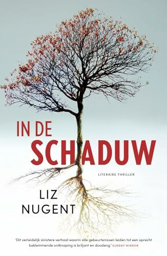 In de schaduw