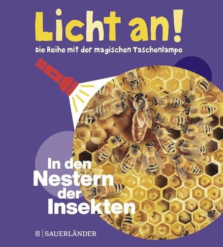 In den Nestern der Insekten: Licht an!