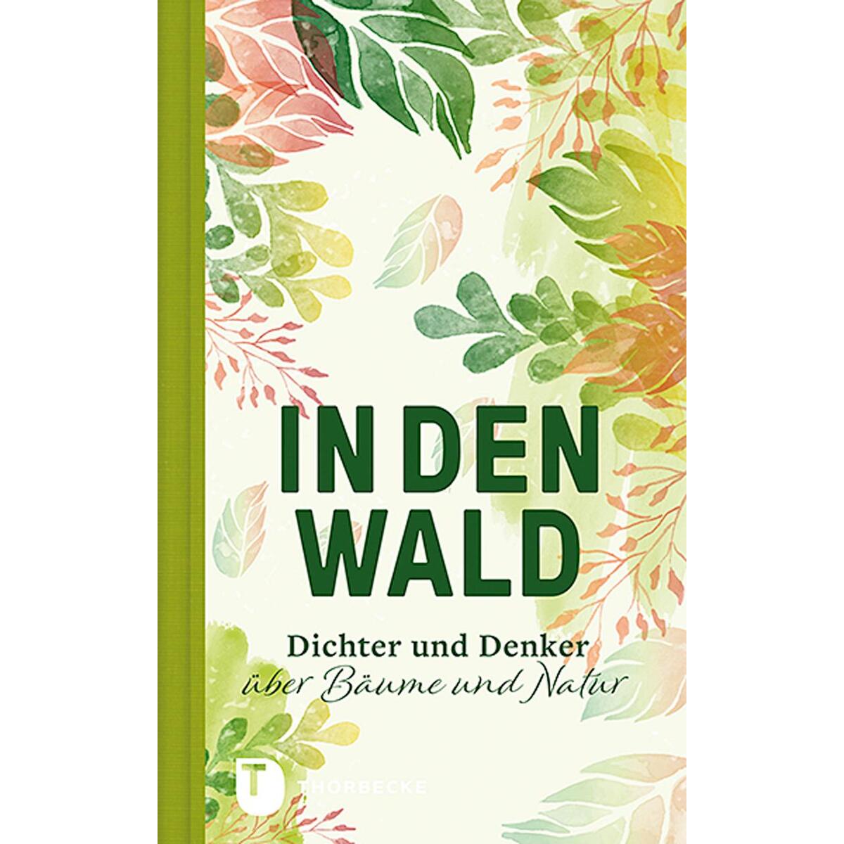 In den Wald von Thorbecke