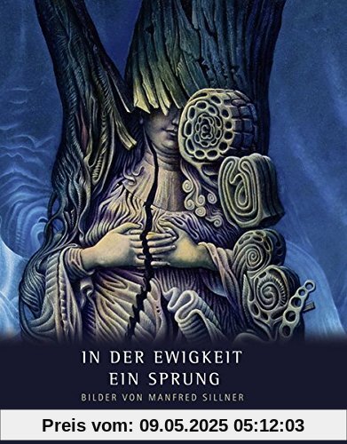 In der Ewigkeit ein Sprung: Bilder von Manfred Sillner (Ausstellungskataloge / Kunstsammlung des Bistums Regensburg /  Diözesanmuseum Regensburg)