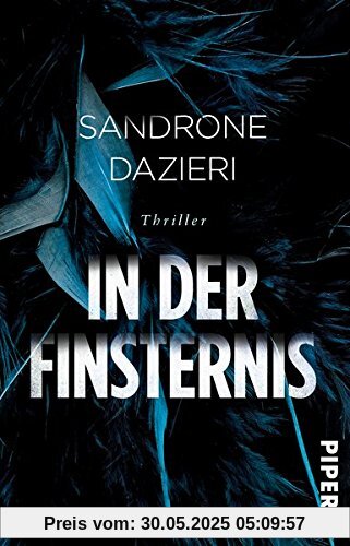 In der Finsternis: Thriller