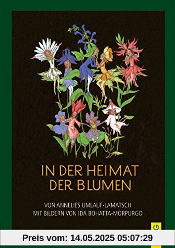 In der Heimat der Blumen