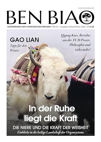 In der Ruhe liegt die Kraft: Die Niere und die Kraft der Weisheit (Ben Biao - Geheimnisse der Chinesischen Medizin, Band 4)