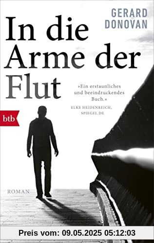 In die Arme der Flut: Roman