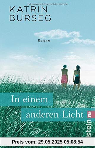 In einem anderen Licht: Roman