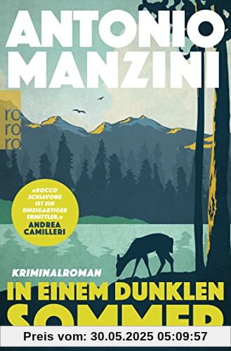 In einem dunklen Sommer: Kriminalroman | Der Nr. 1 Bestseller aus Italien (Rocco Schiavone ermittelt, Band 6)